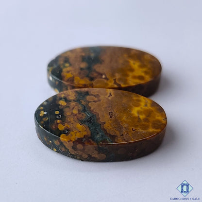 Ocean Jasper