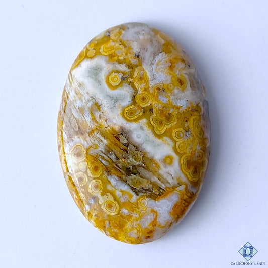 Ocean Jasper