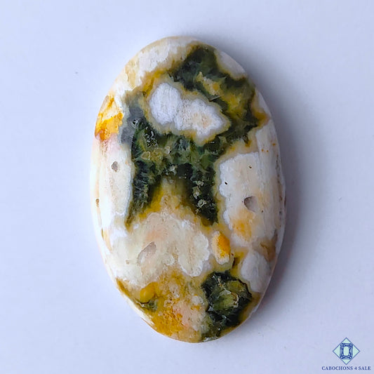 Ocean Jasper