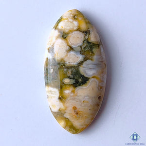Ocean Jasper Marquise Cabochons 33x17x5mm