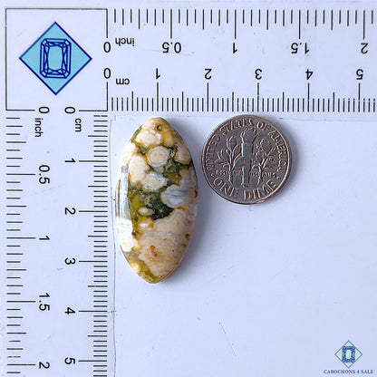 Ocean Jasper