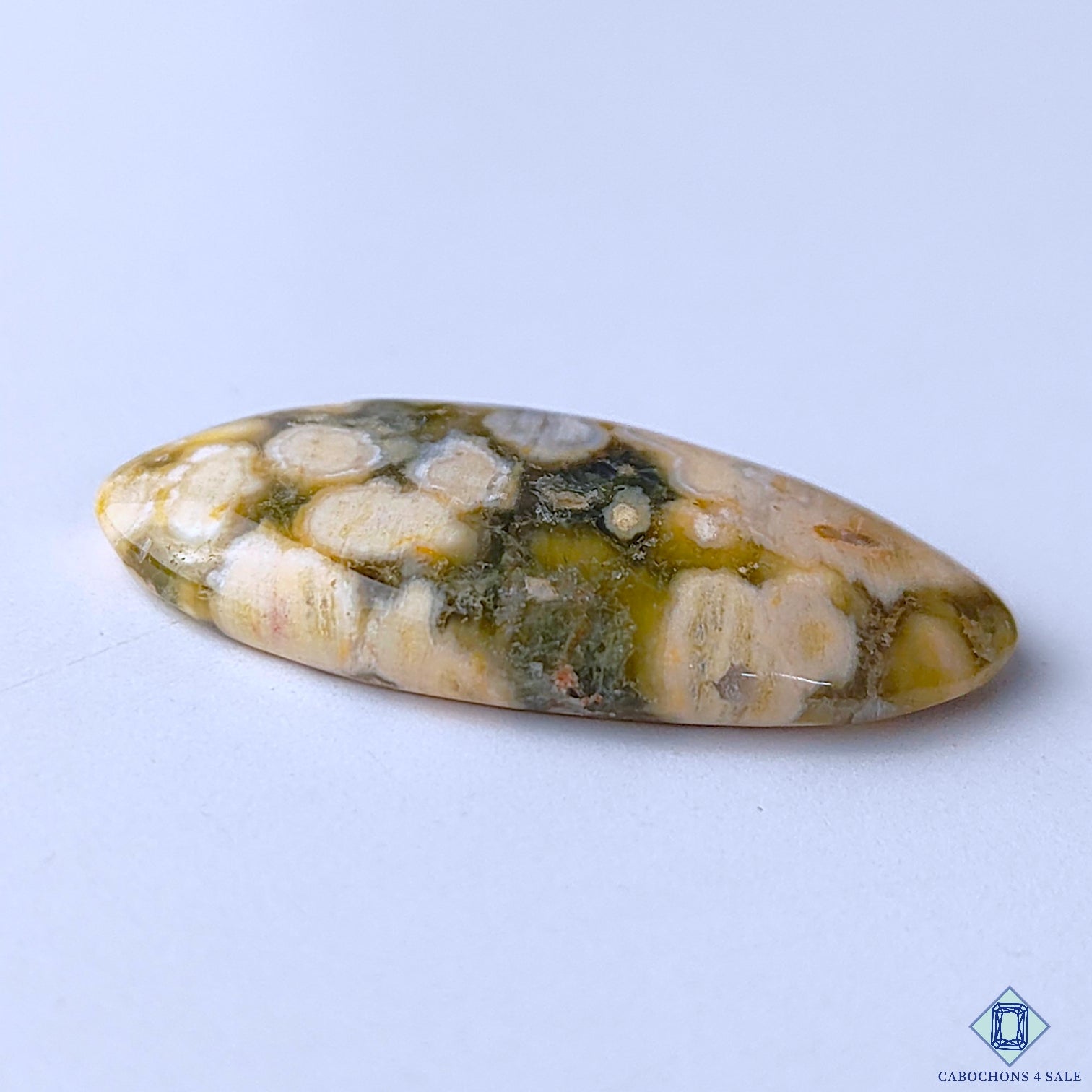 Ocean Jasper