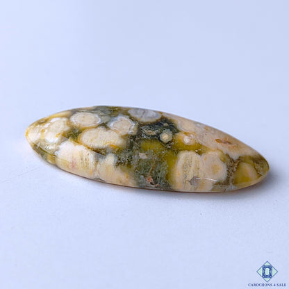 Ocean Jasper