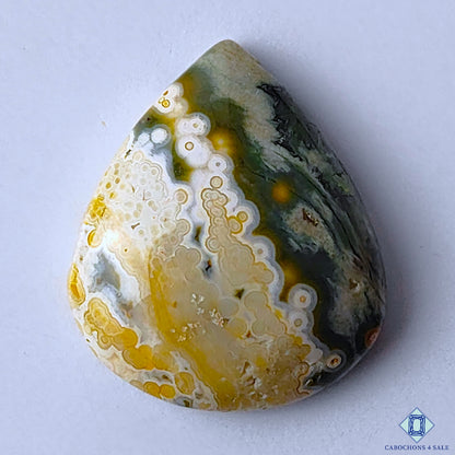 Ocean Jasper