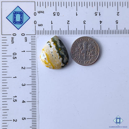 Ocean Jasper