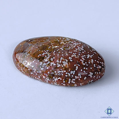 Ocean Jasper