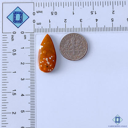 Ocean Jasper