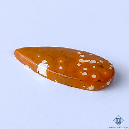 Ocean Jasper