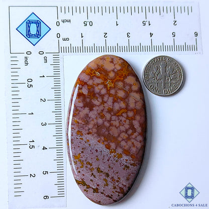 Ocean Jasper