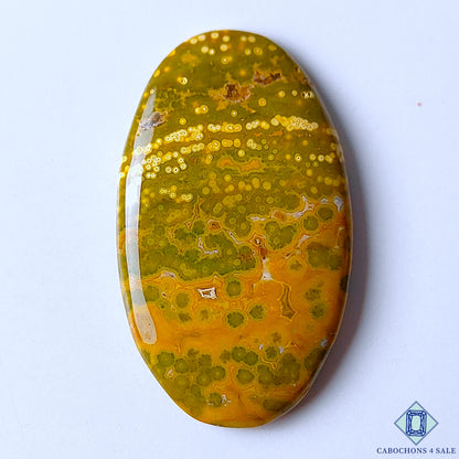 Ocean Jasper