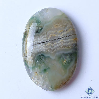 Ocean Jasper