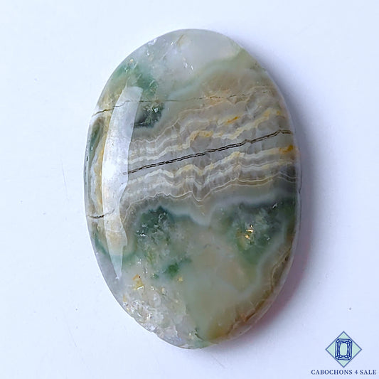 Ocean Jasper