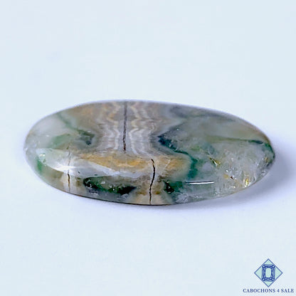 Ocean Jasper