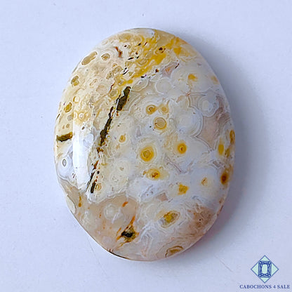Ocean Jasper