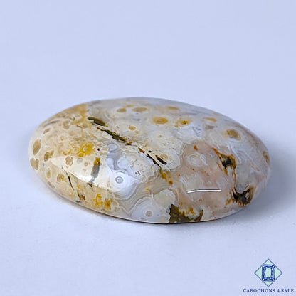 Ocean Jasper