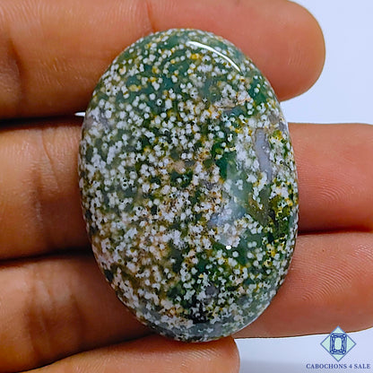 Ocean Jasper