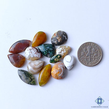 Ocean Jasper