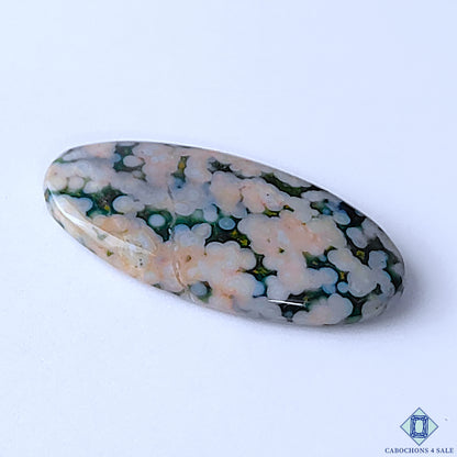 Ocean Jasper