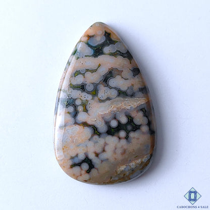 Ocean Jasper