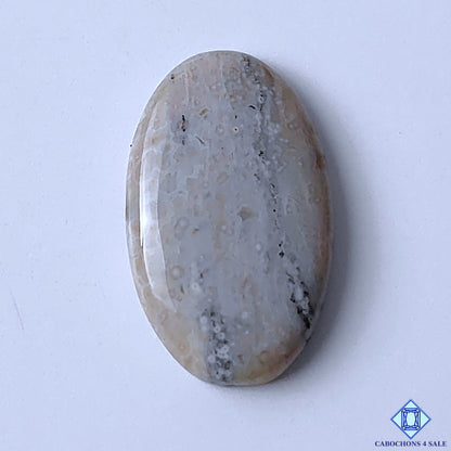 Ocean Jasper