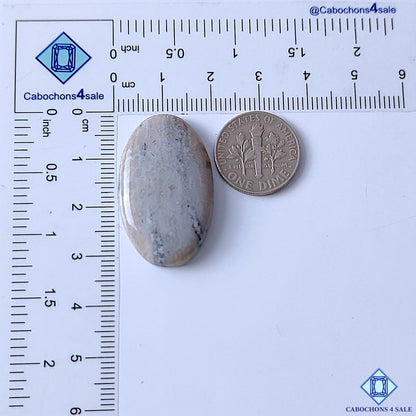 Ocean Jasper