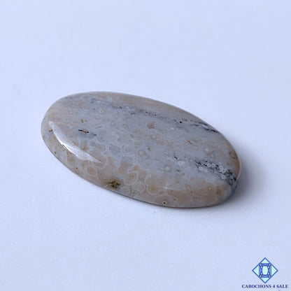 Ocean Jasper