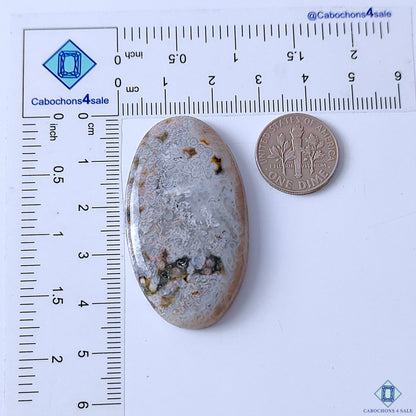 Ocean Jasper