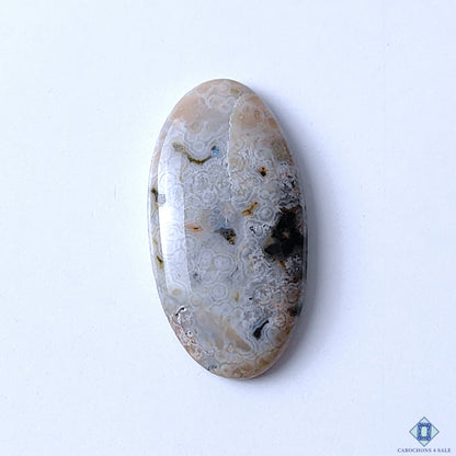 Ocean Jasper