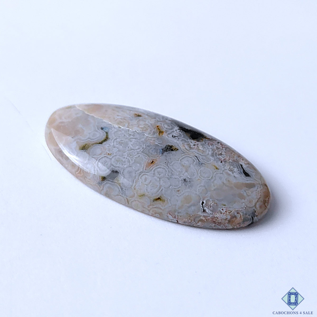 Ocean Jasper