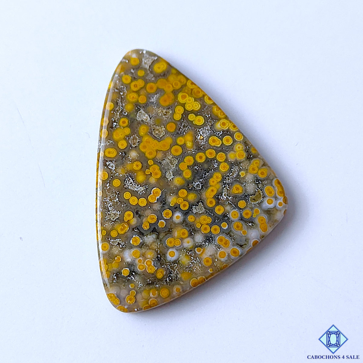 Ocean Jasper