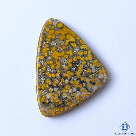 Ocean Jasper