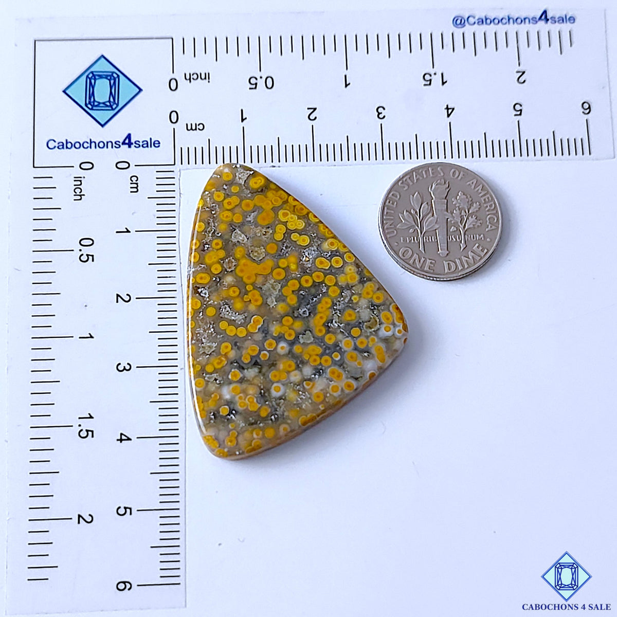 Ocean Jasper