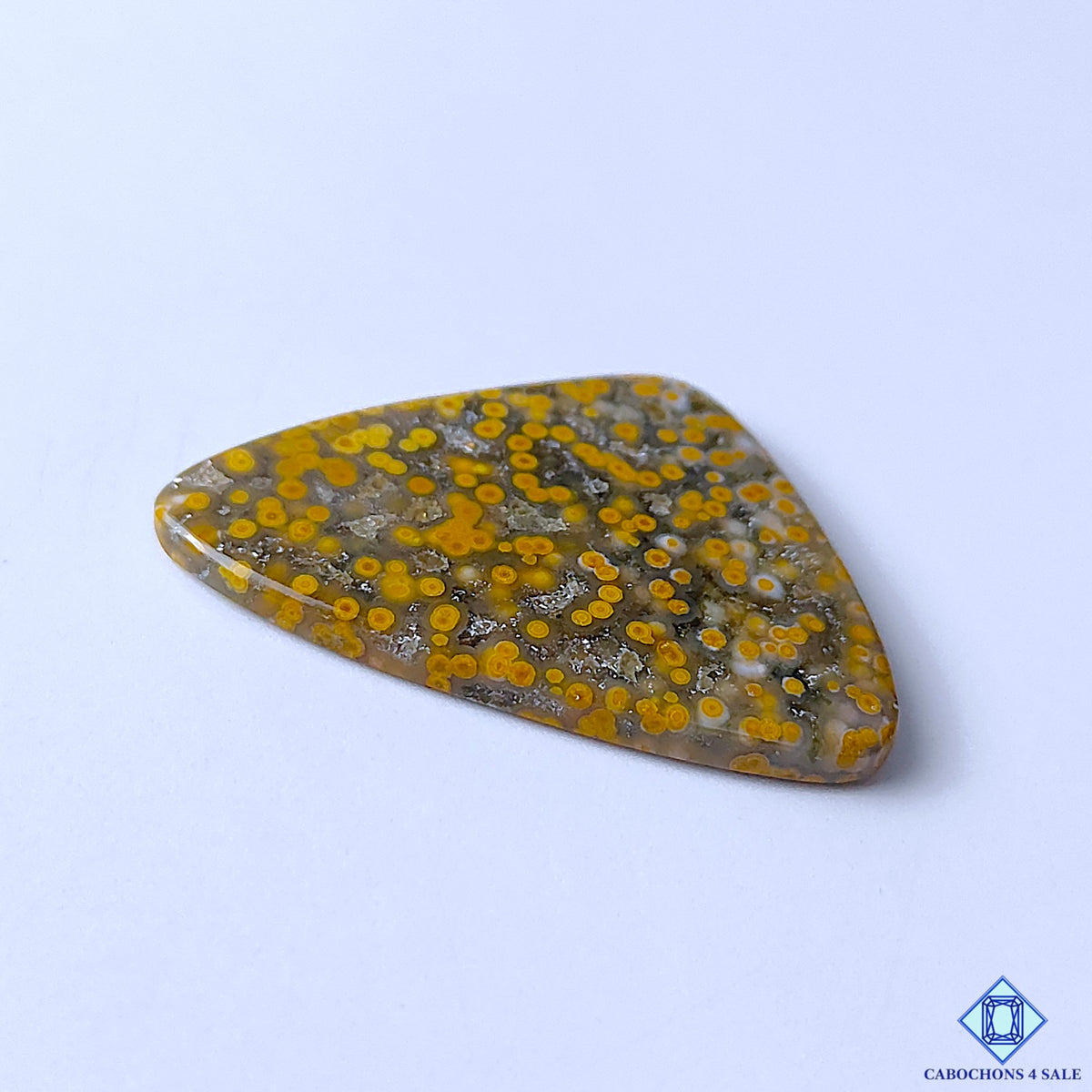 Ocean Jasper