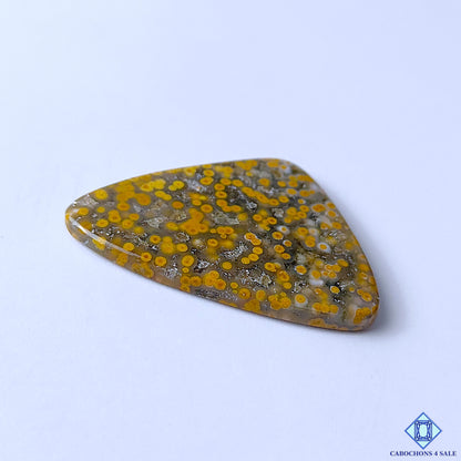 Ocean Jasper
