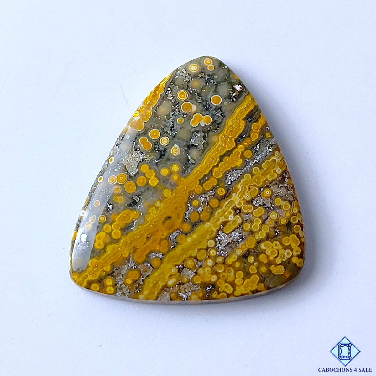 Ocean Jasper