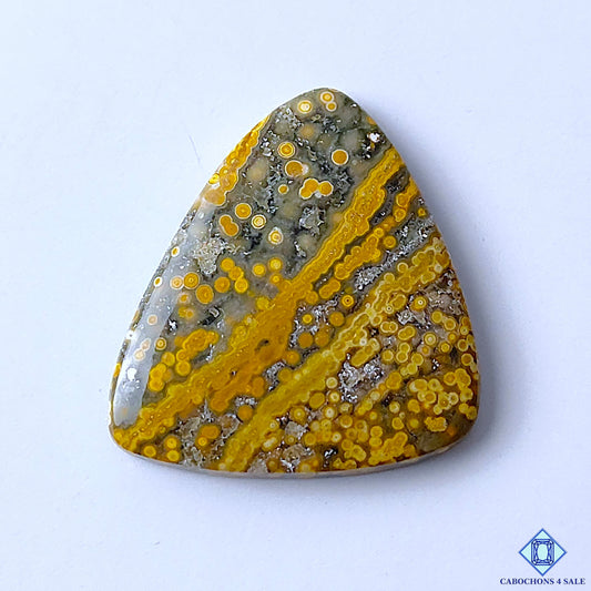 Ocean Jasper
