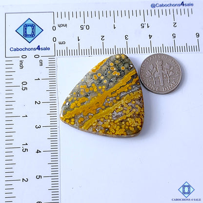 Ocean Jasper