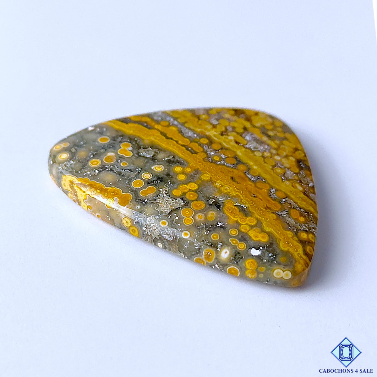 Ocean Jasper