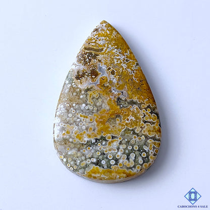 Ocean Jasper