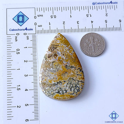 Ocean Jasper