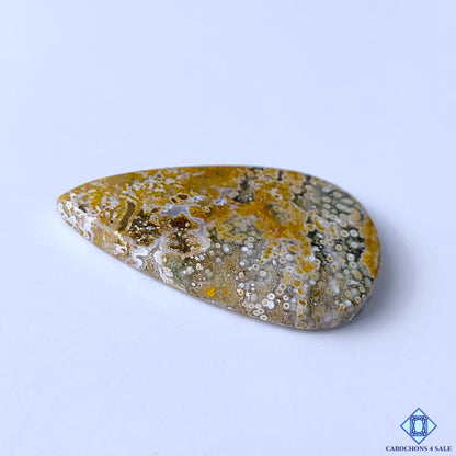 Ocean Jasper