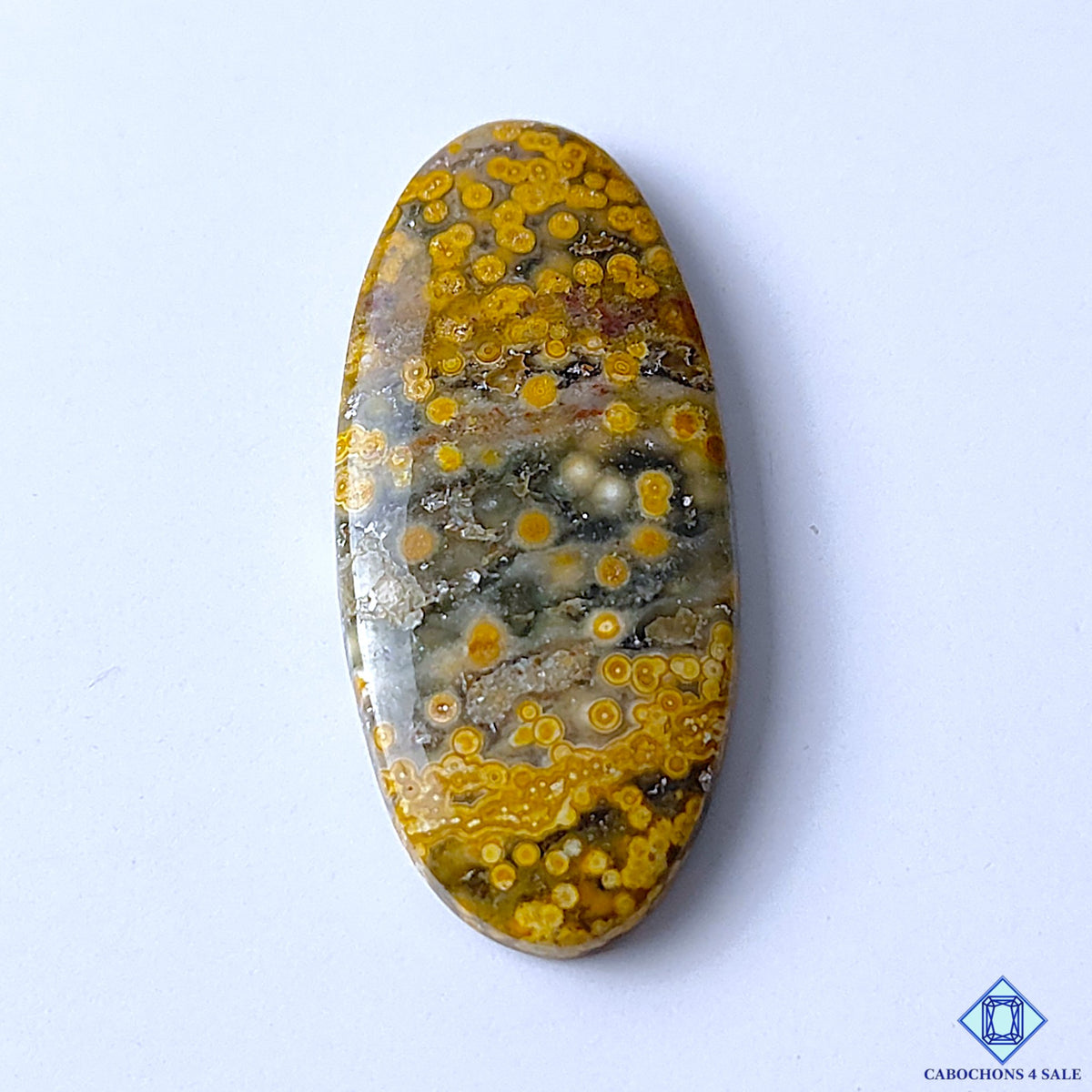 Ocean Jasper