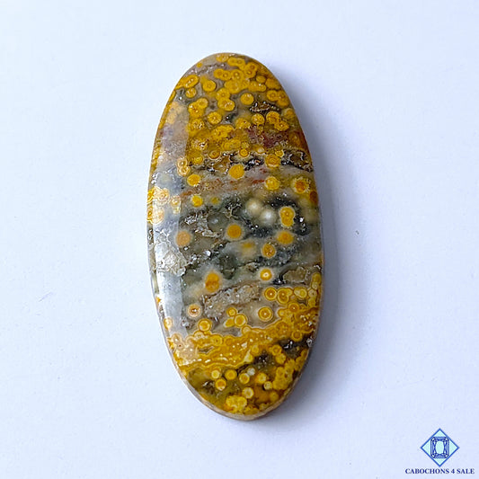 Ocean Jasper