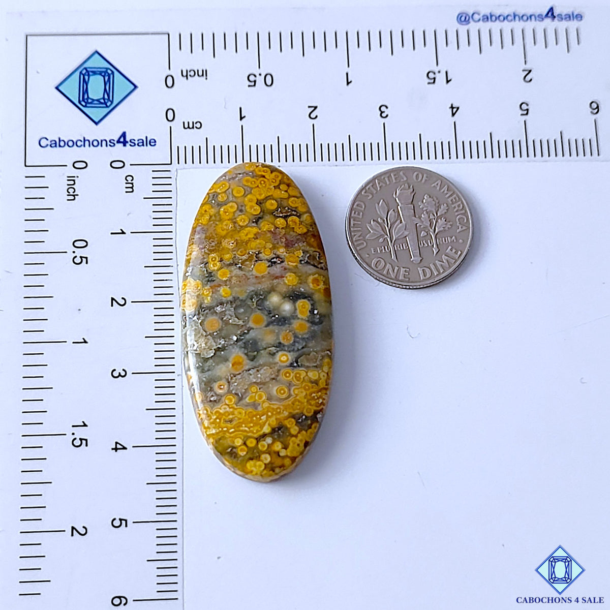 Ocean Jasper