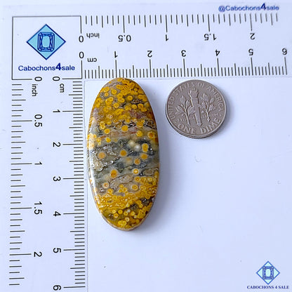 Ocean Jasper