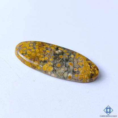 Ocean Jasper