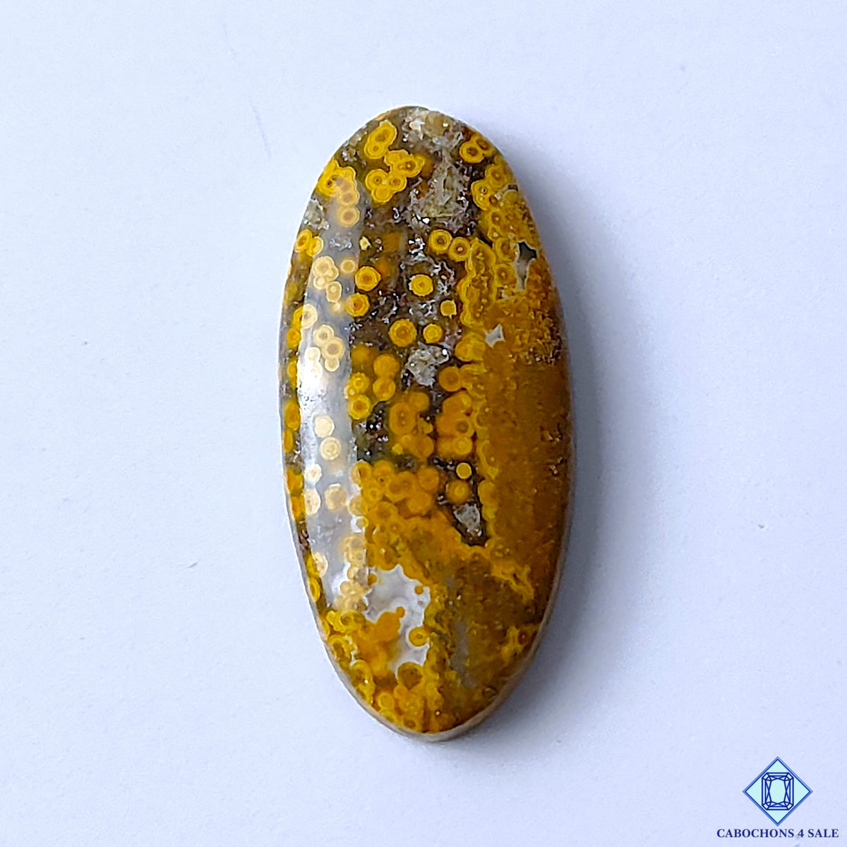 Ocean Jasper