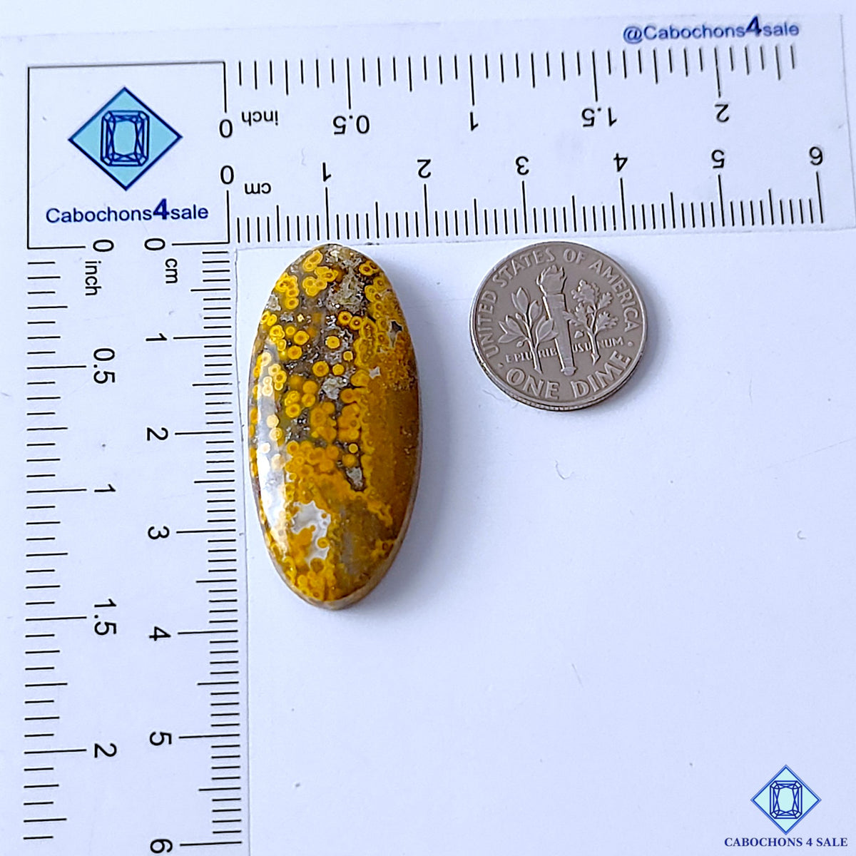 Ocean Jasper