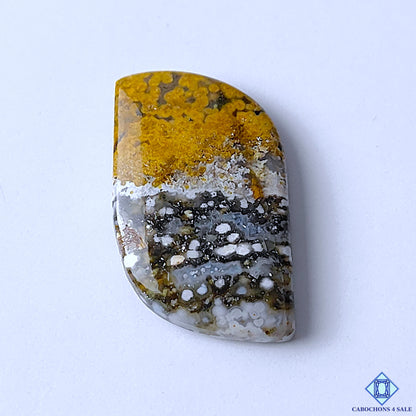 Ocean Jasper