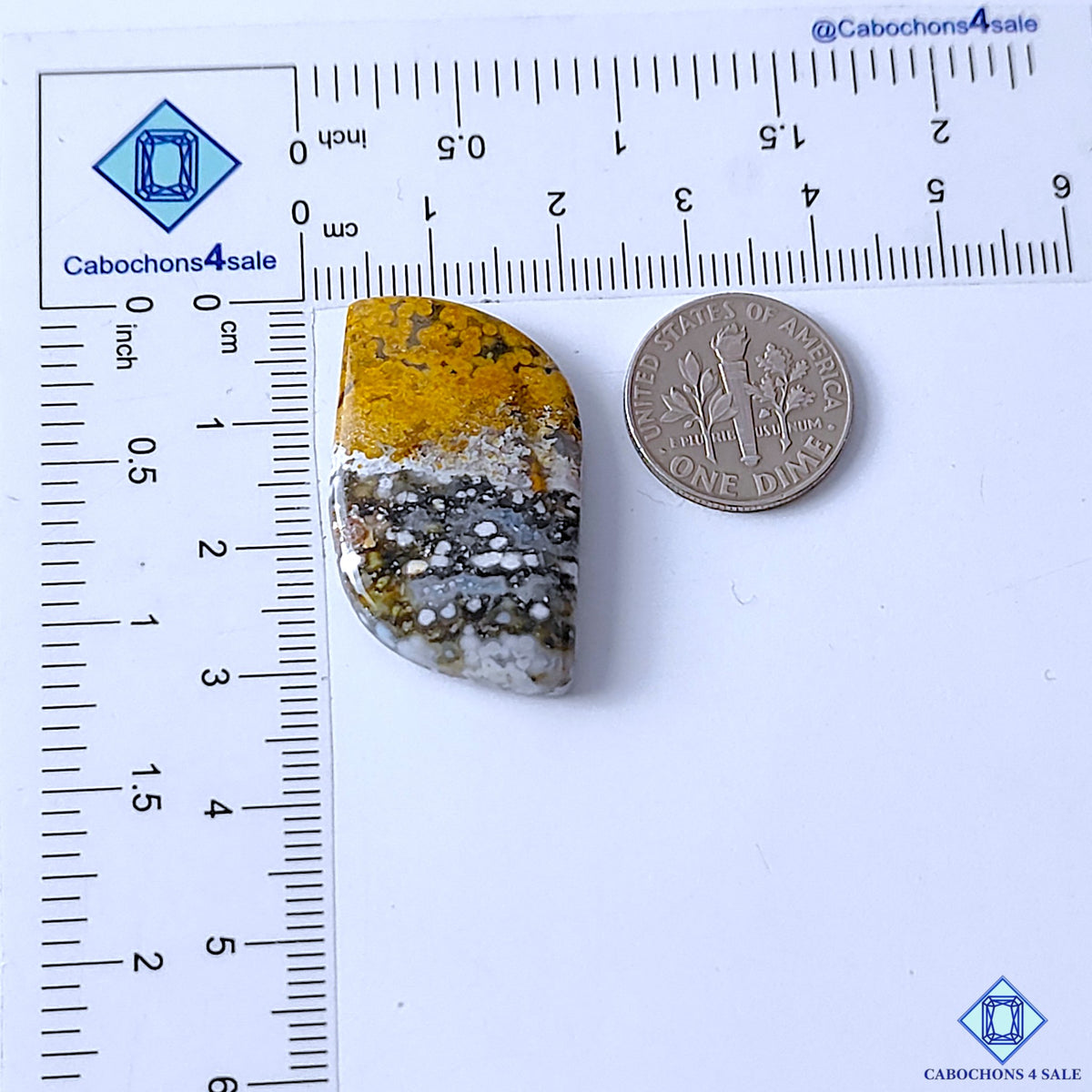 Ocean Jasper